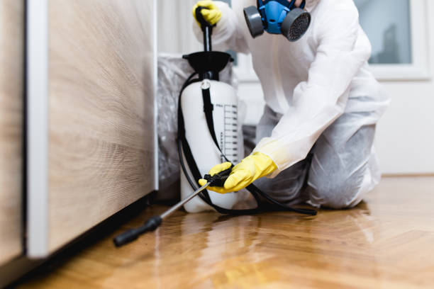 Best Emergency Pest Control  in Anza, CA