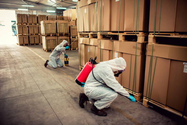 Best Termite Control Services  in Anza, CA