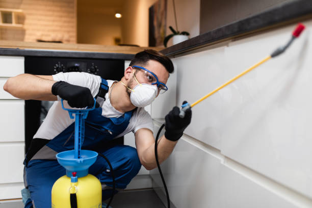 Best Residential Pest Control  in Anza, CA