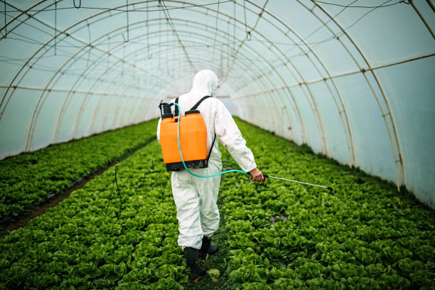 Pest Prevention Services in Anza, CA