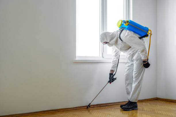 Best Pest Prevention Services  in Anza, CA