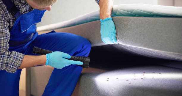 Best Bed Bug Extermination  in Anza, CA