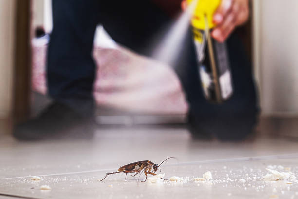 Best Exterminator Services  in Anza, CA