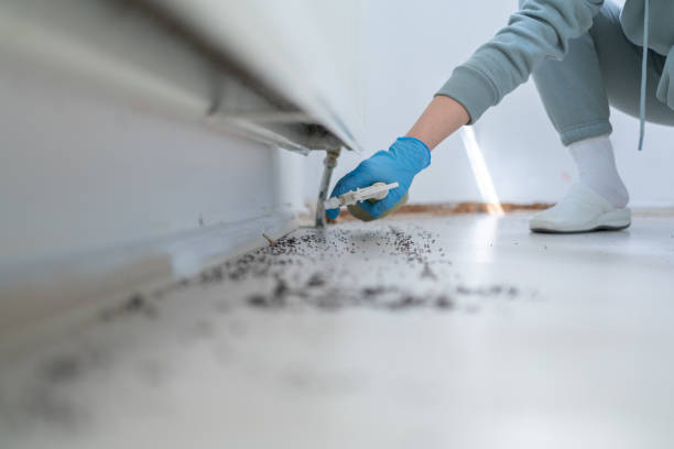 Best Wildlife Control Services  in Anza, CA